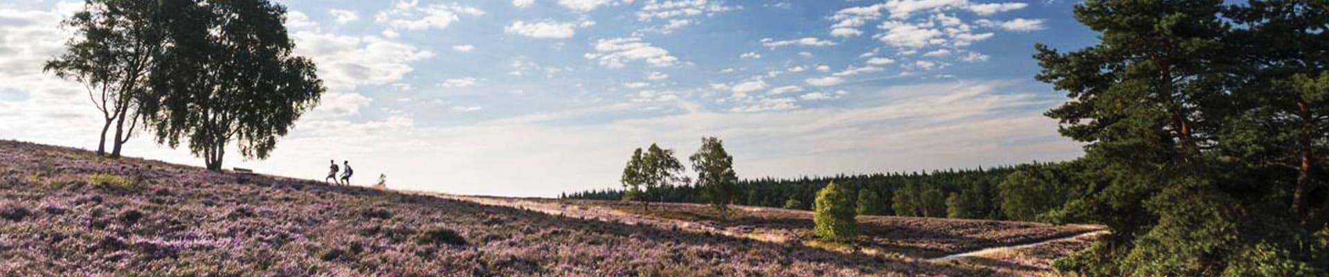 Header Bild