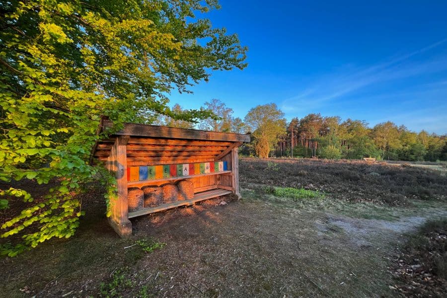 Bienenkörbe am Lönsstein am Wietzer Berg