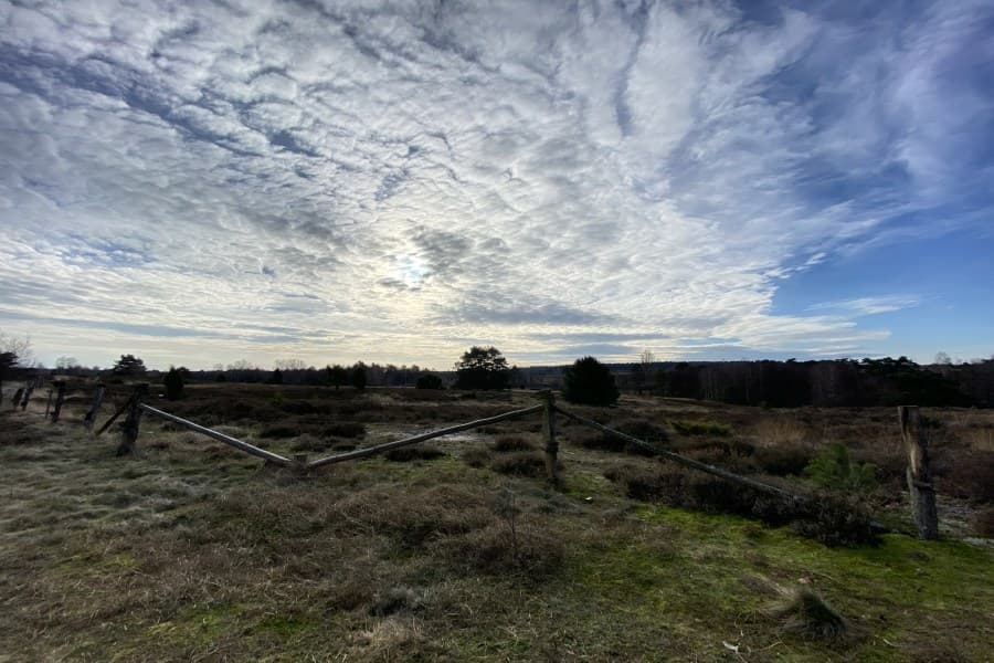 Morgenstimmung auf der Heideschleide Radenbachtal