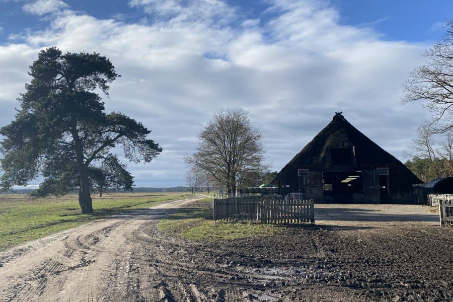 Heideschleife Radenbachtal Schafstall bei Döhle