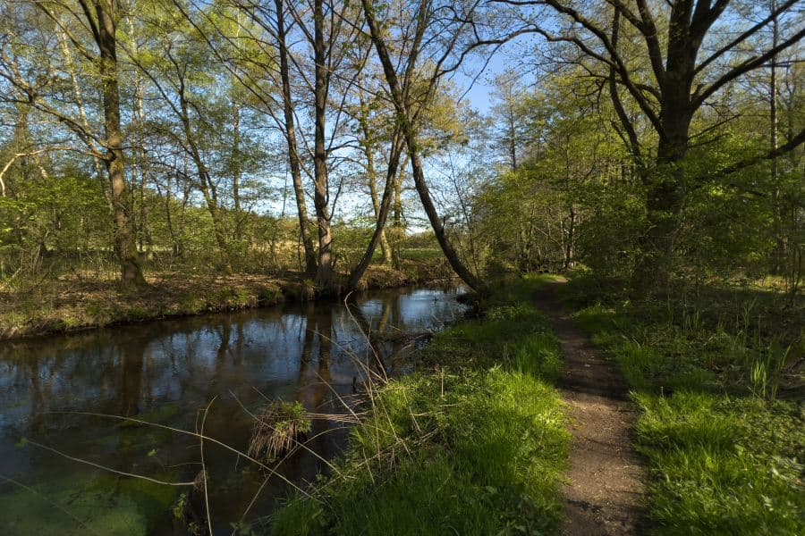Heideschleife Müden An der Örtze
