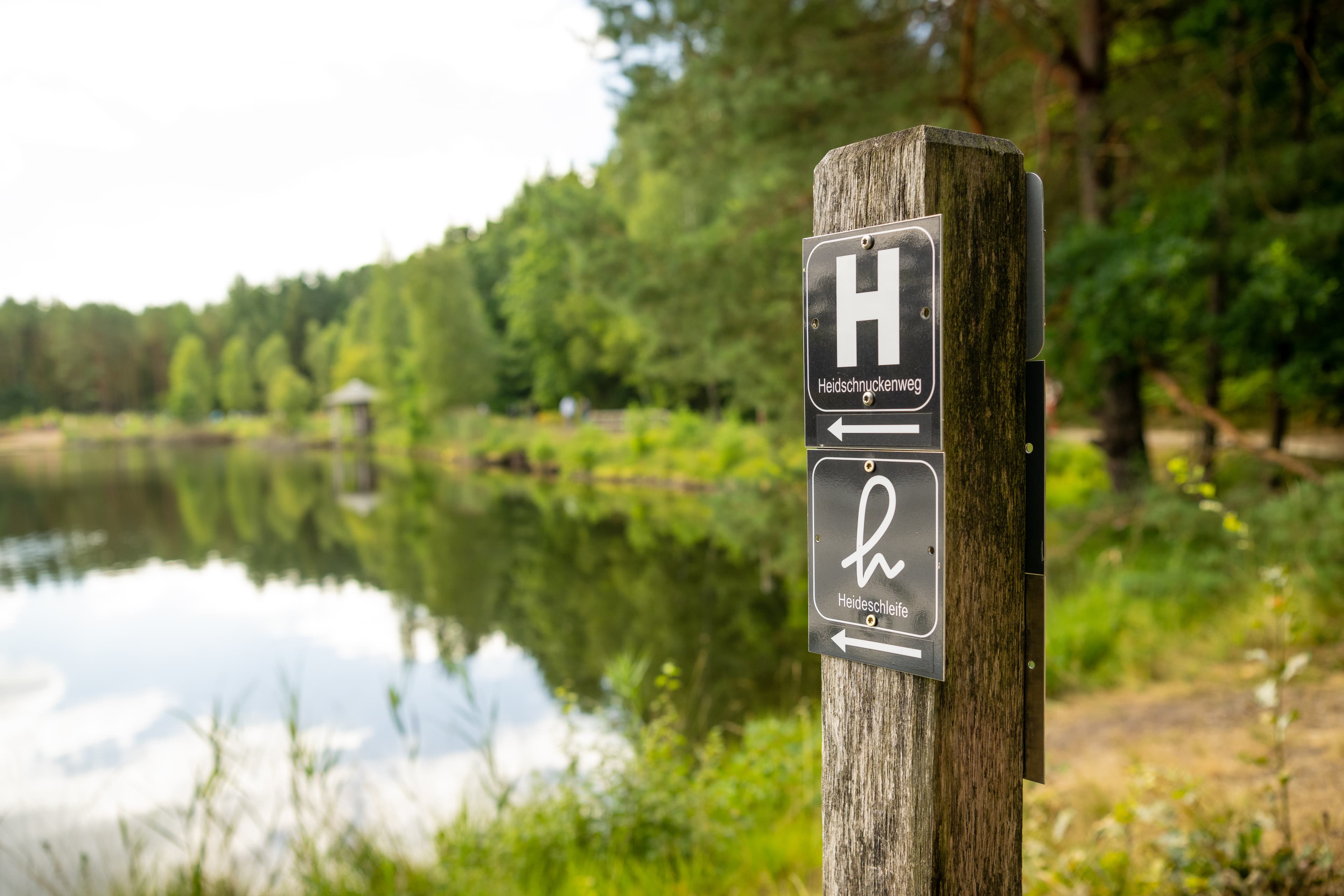 Beschilderung Heidschnuckenweg Wanderweg Wandern Lüneburger Heide