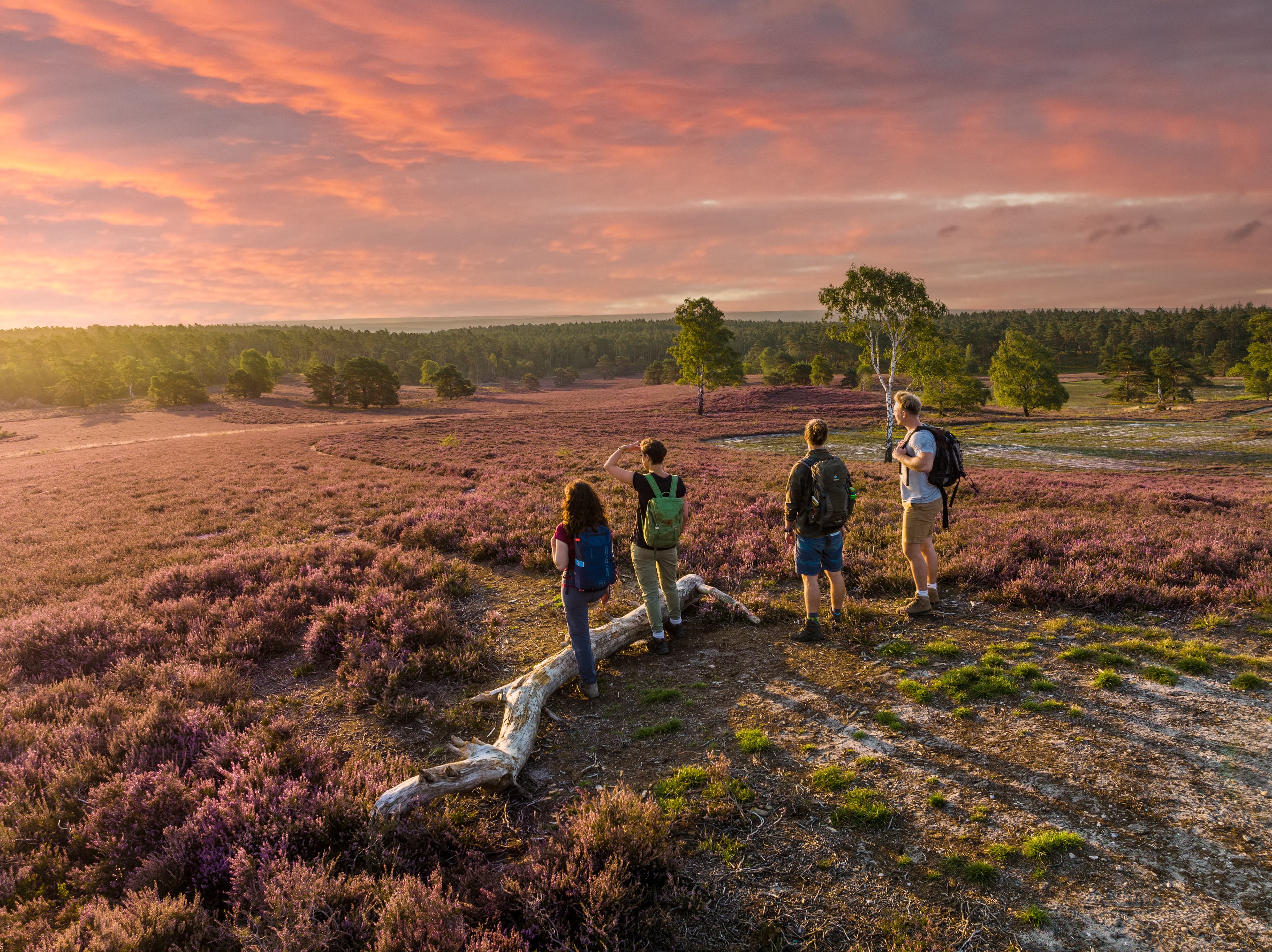 Ein Geheimtipp ist der Sonnenuntergang am Brunsberg auf dem Heidschnuckenweg Wandern