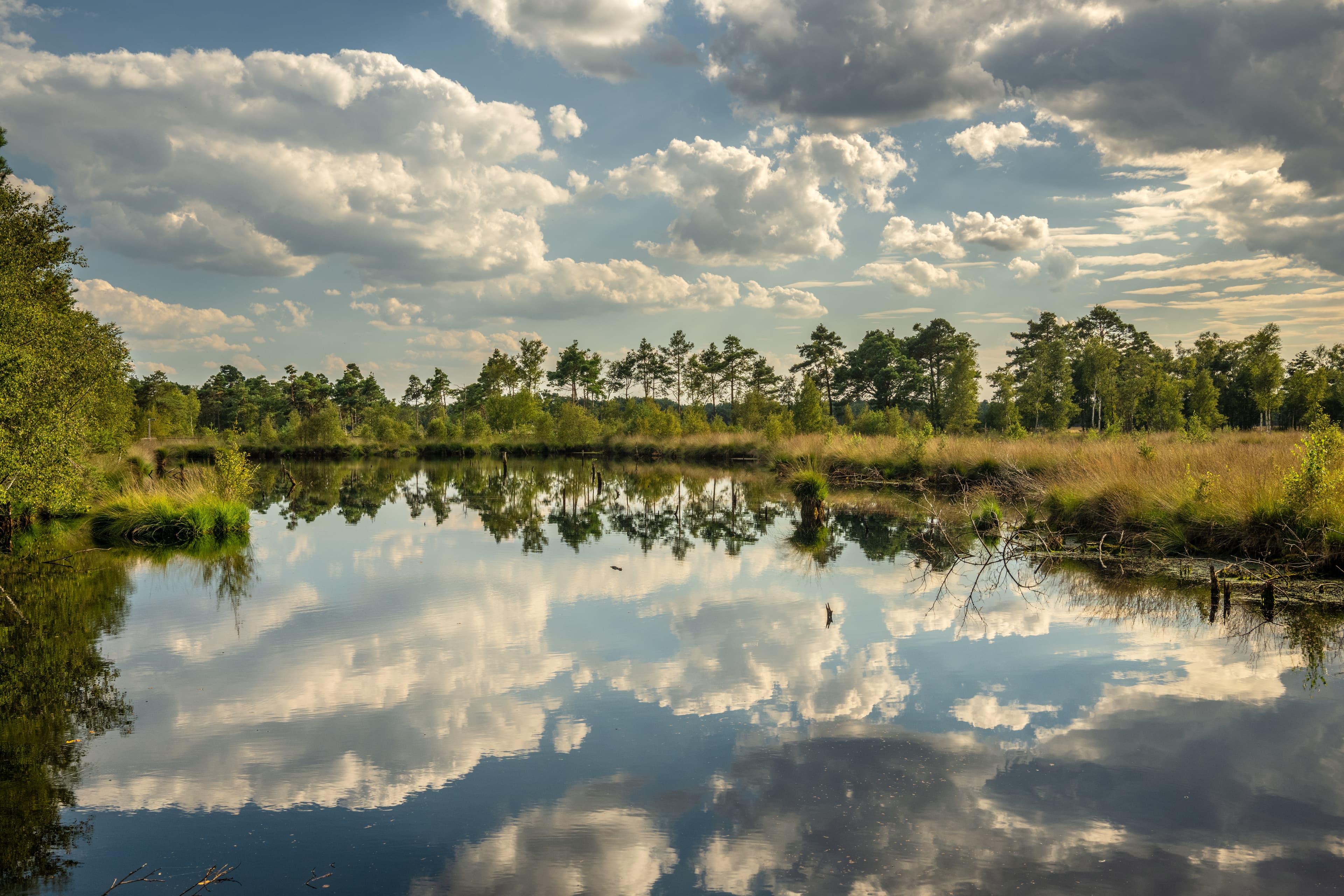 Pietzmoor Schneverdingen Lüneburger Heide Heidschnuckenweg Bohlenstege Wandern