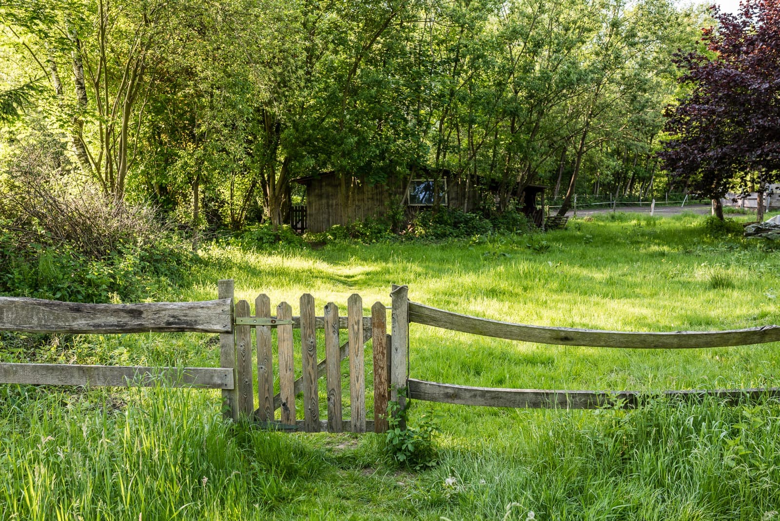 Auf dem Heidschnuckenweg Etappe 7 Wandern Soltau