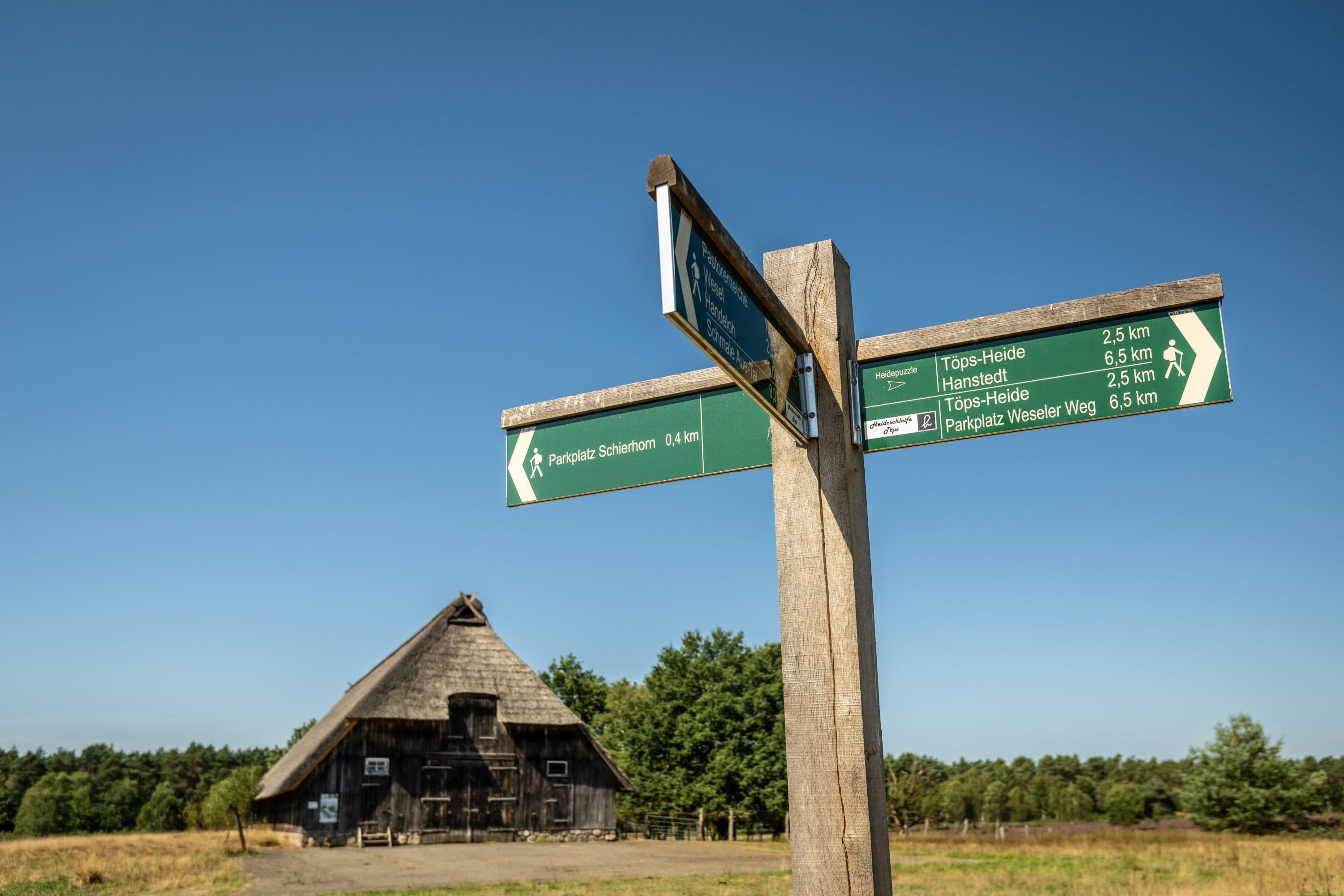 Weseler Heide Undeloh Beschilderung Heideschleife Heidschnuckenweg Wanderweg