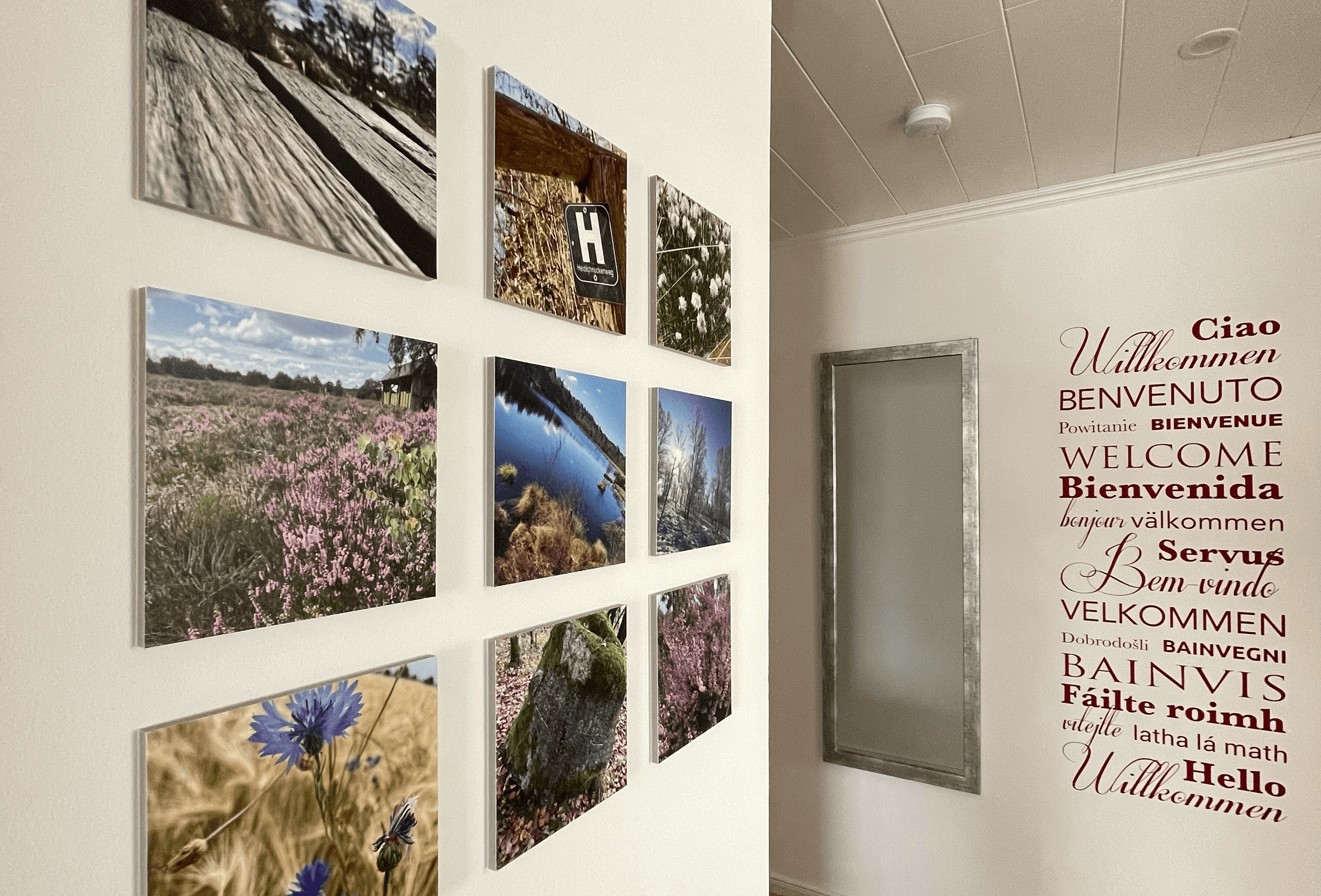 snevernheimat Ferienwohnung Schneverdingen Eingangsbereich Urlaub Lüneburger Heide