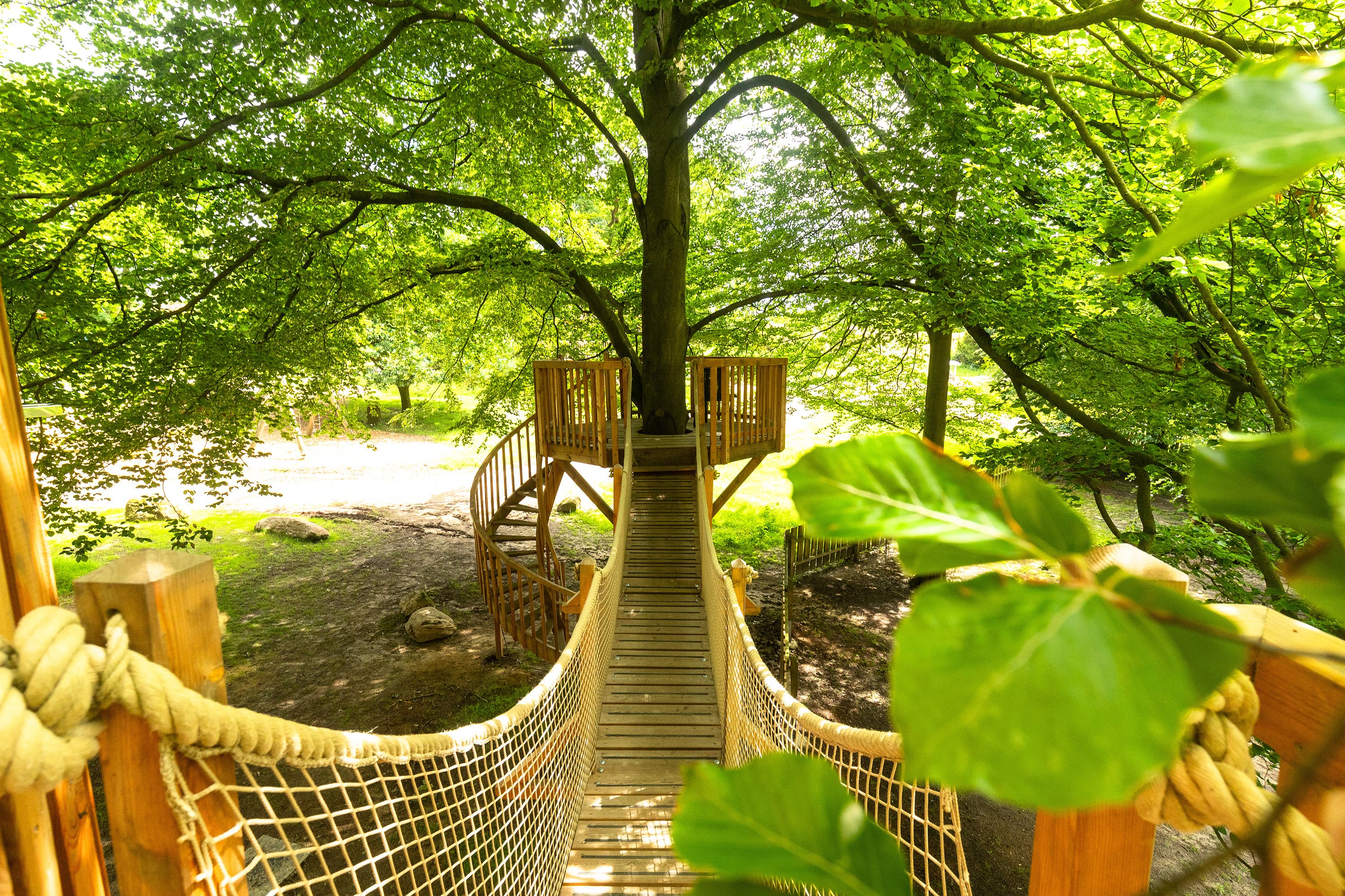 übernachtung im baumhaus in niedersachsen geht in bispingen