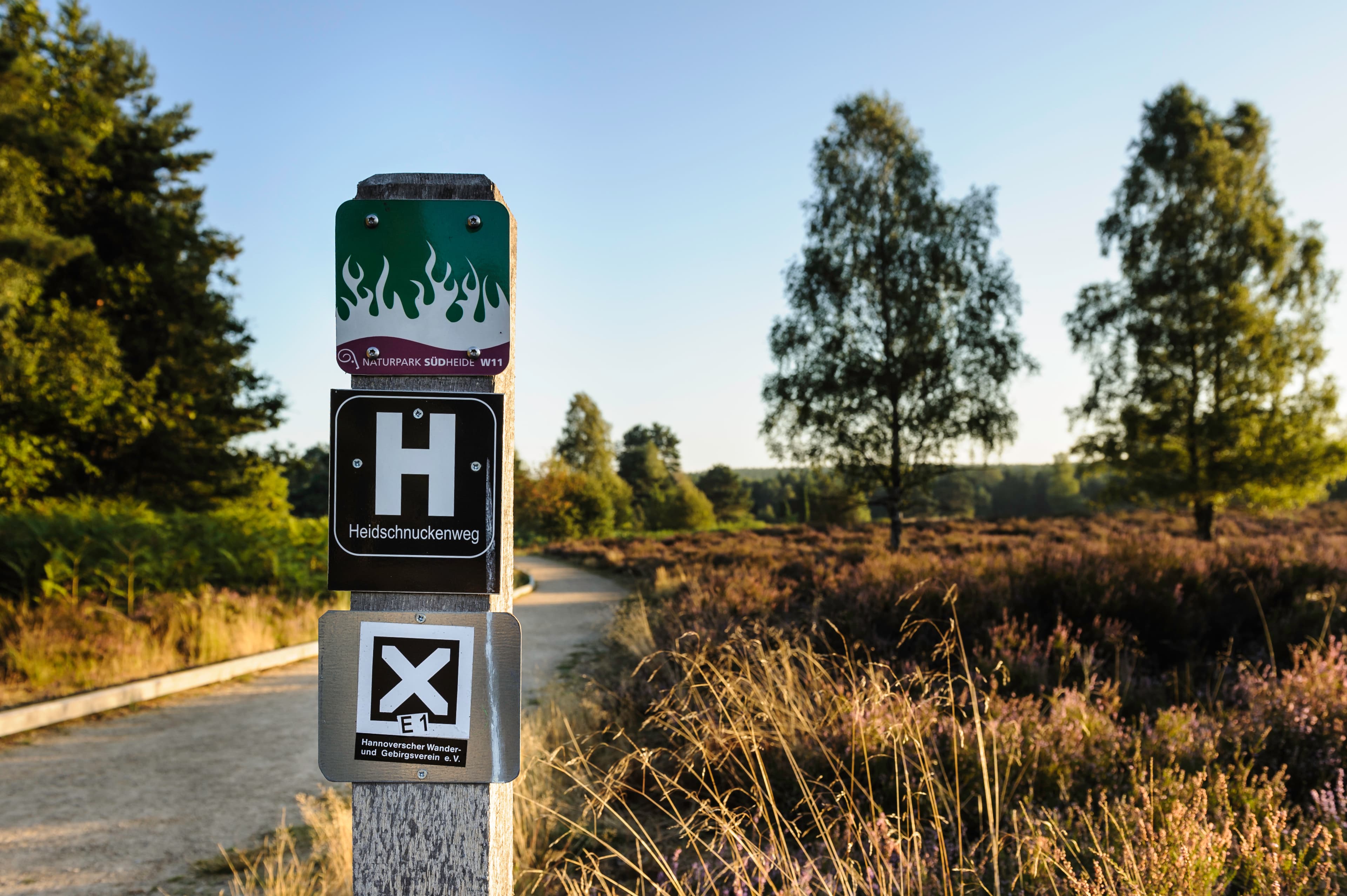 Wandern auf dem Heidschnuckenweg beim Angelbecksteich in Hermannsburg