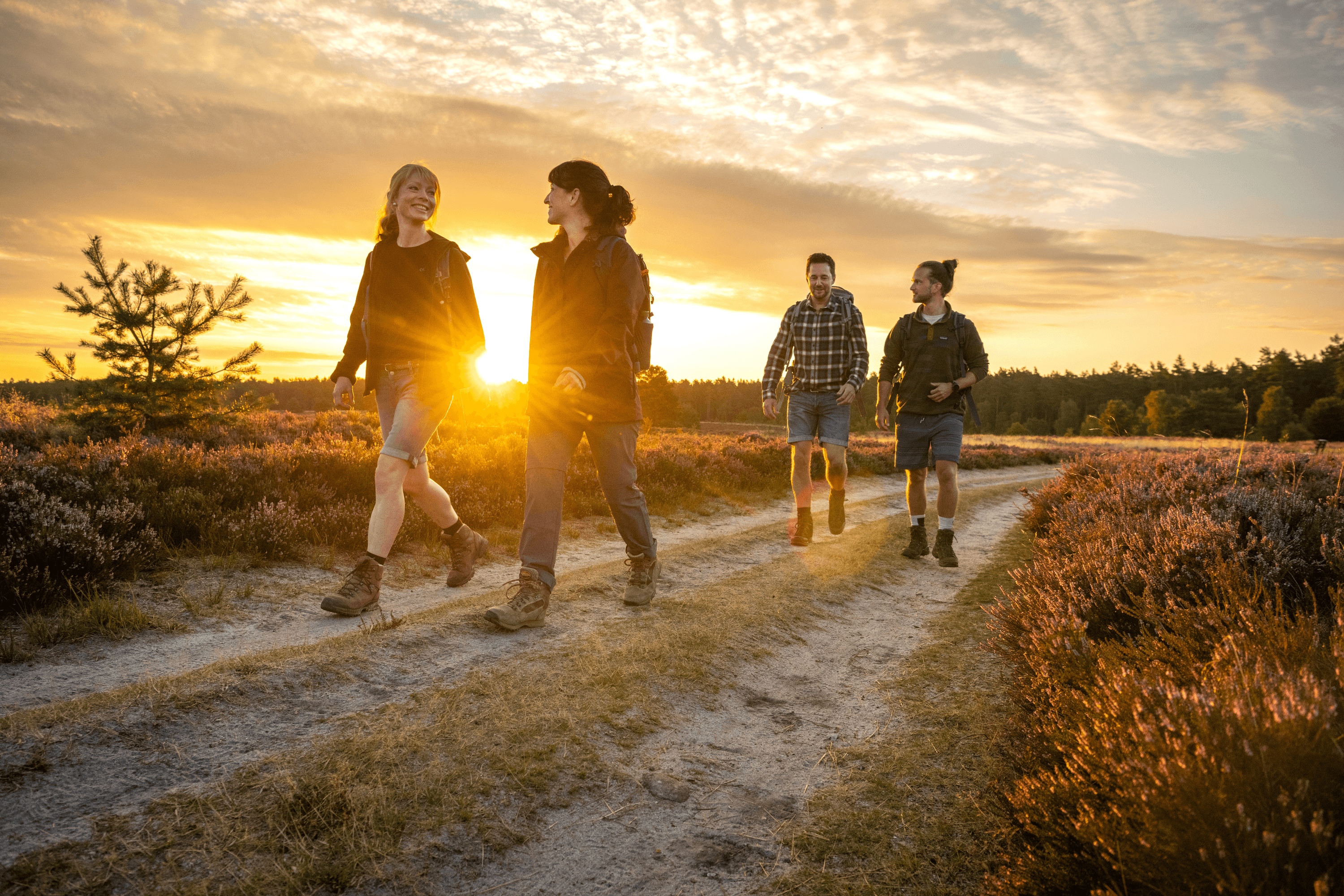 Sonnenaufgang auf der Heideschleife Büsenbachtal