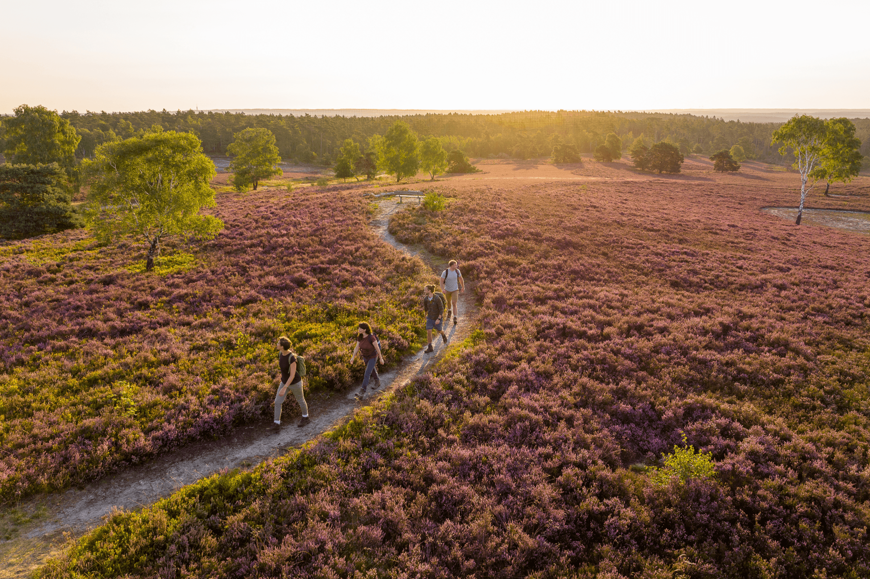 Brunsberg in Sprötze