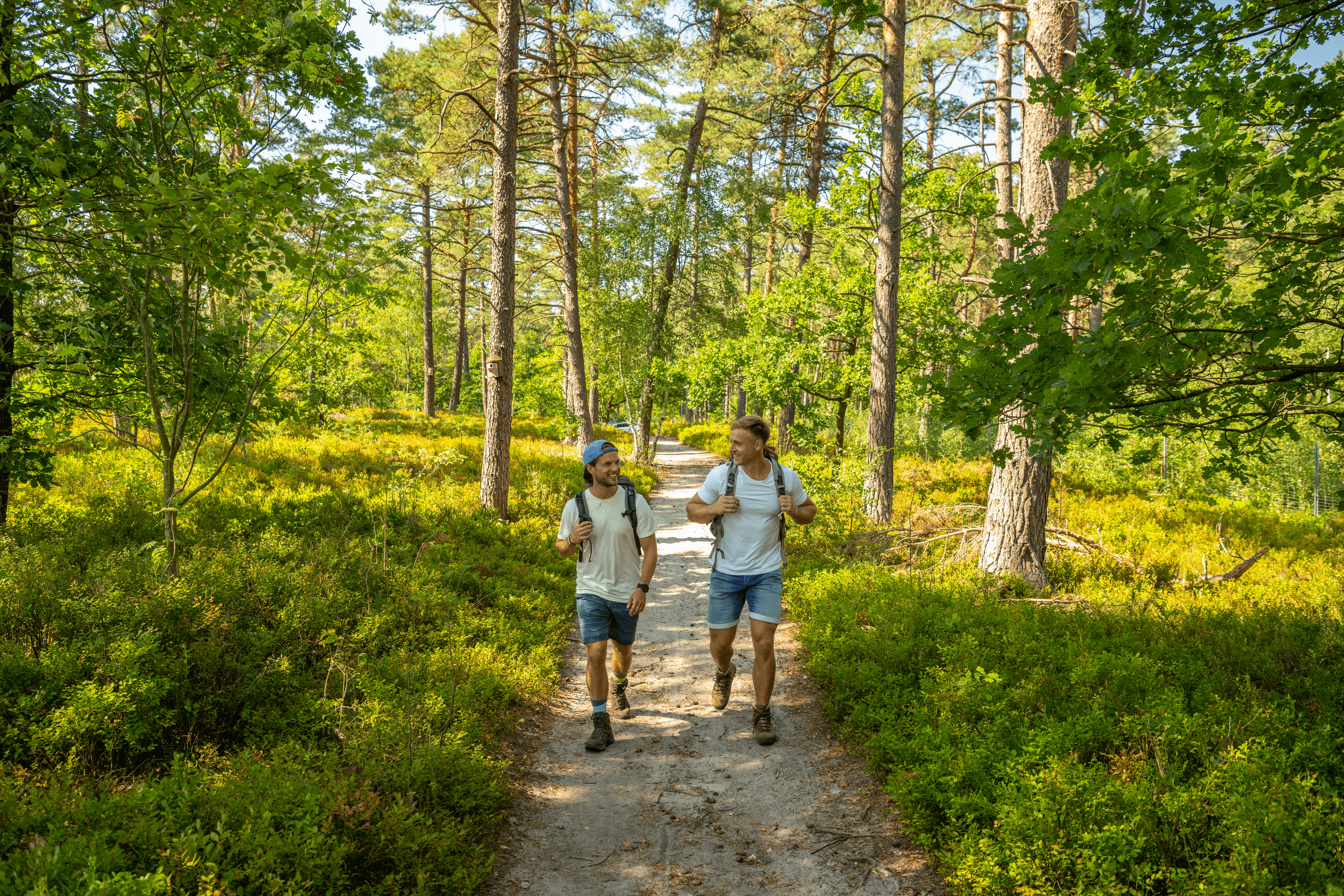 Wanderer auf der Heideschleife Büsenbachtal im Wald