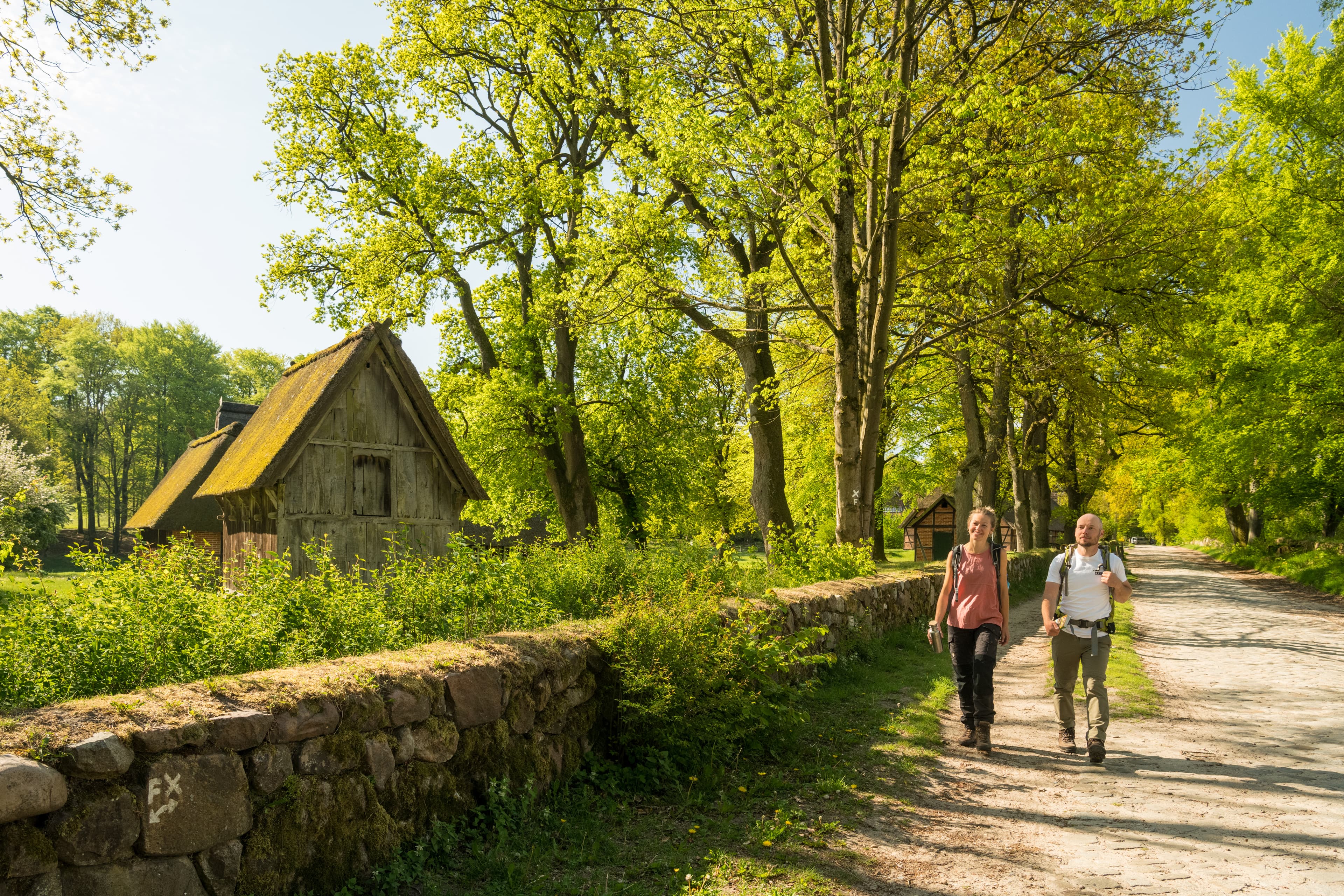 Wandern auf dem Heidschnuckenweg im Frühjahr