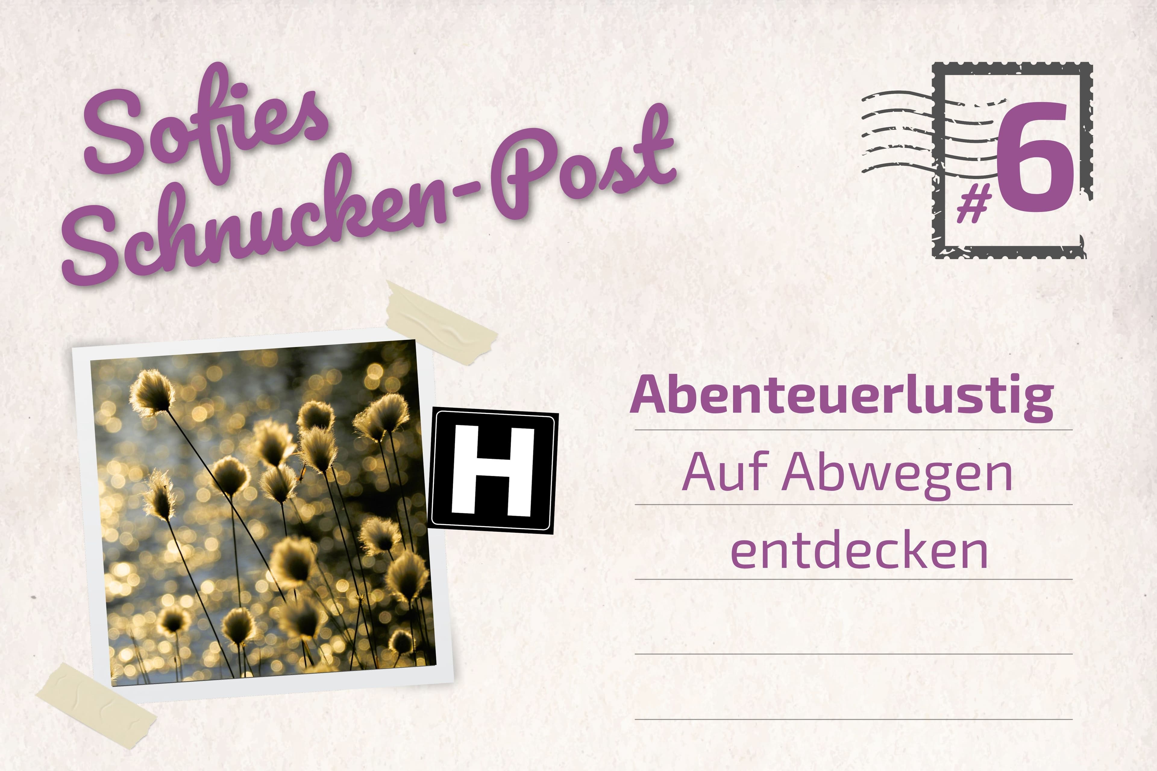 Sofies Blog zum Wandern auf dem Heidschnuckenweg