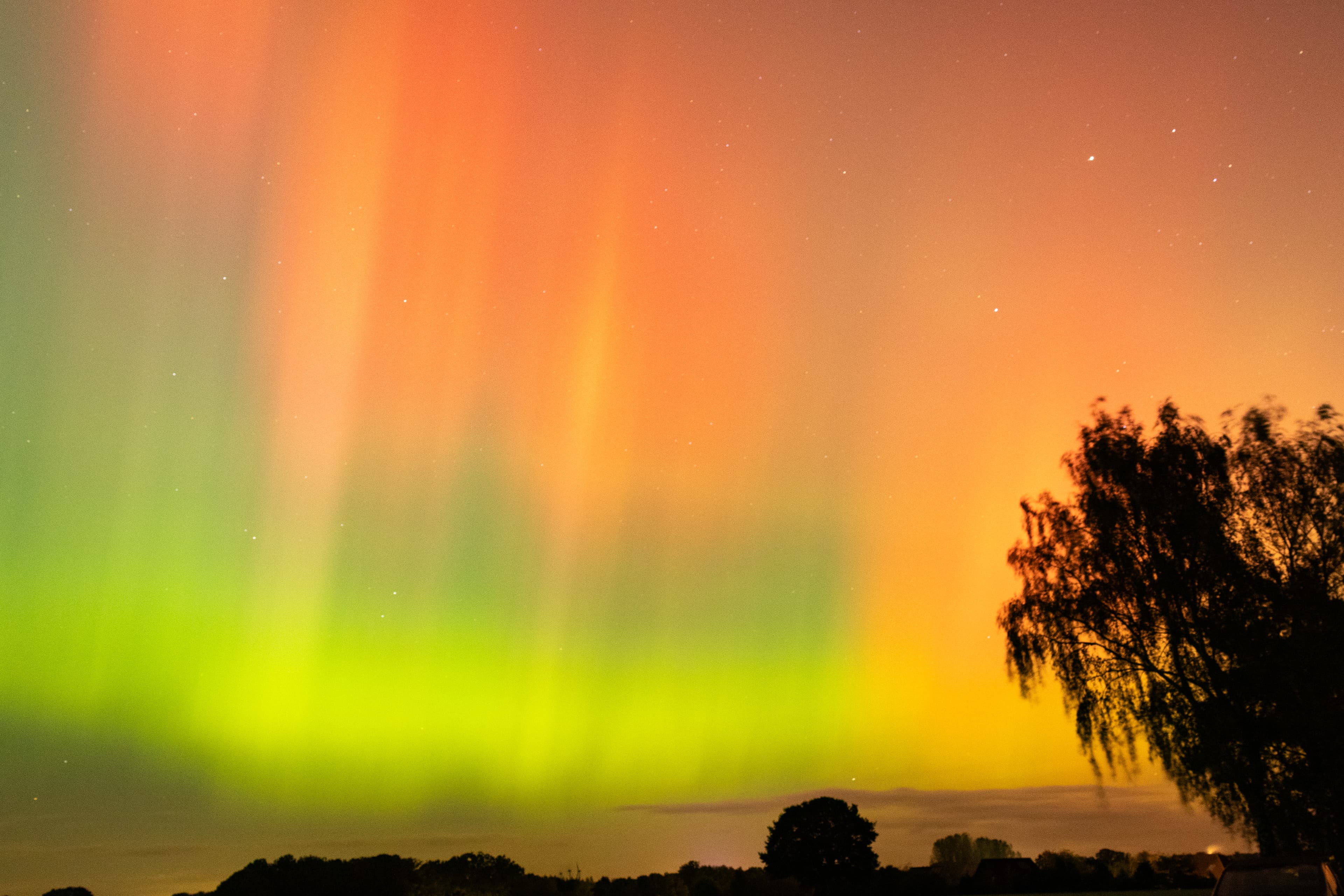 Polarlichter in der Heide