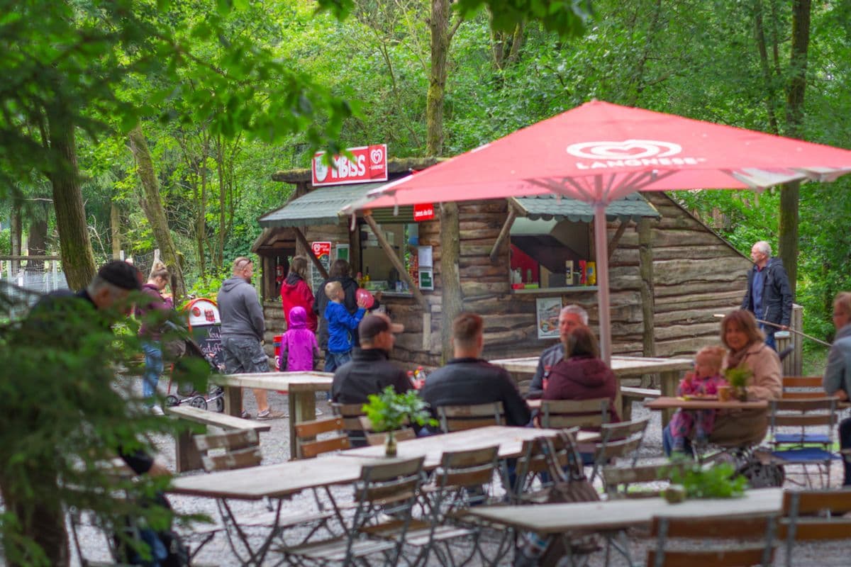 Wildpark Müden - Tierisch nah dran!