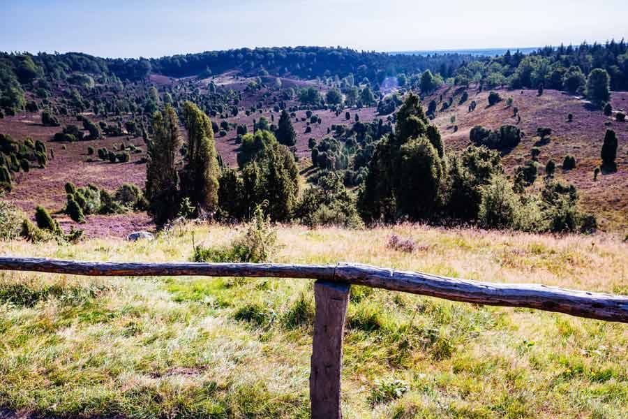 Blick in den Totengrund vom Rand