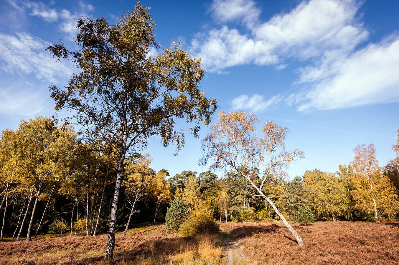 Büsenbachtal Handeloh Herbst sehenswuerdigkeit lueneburger heide
