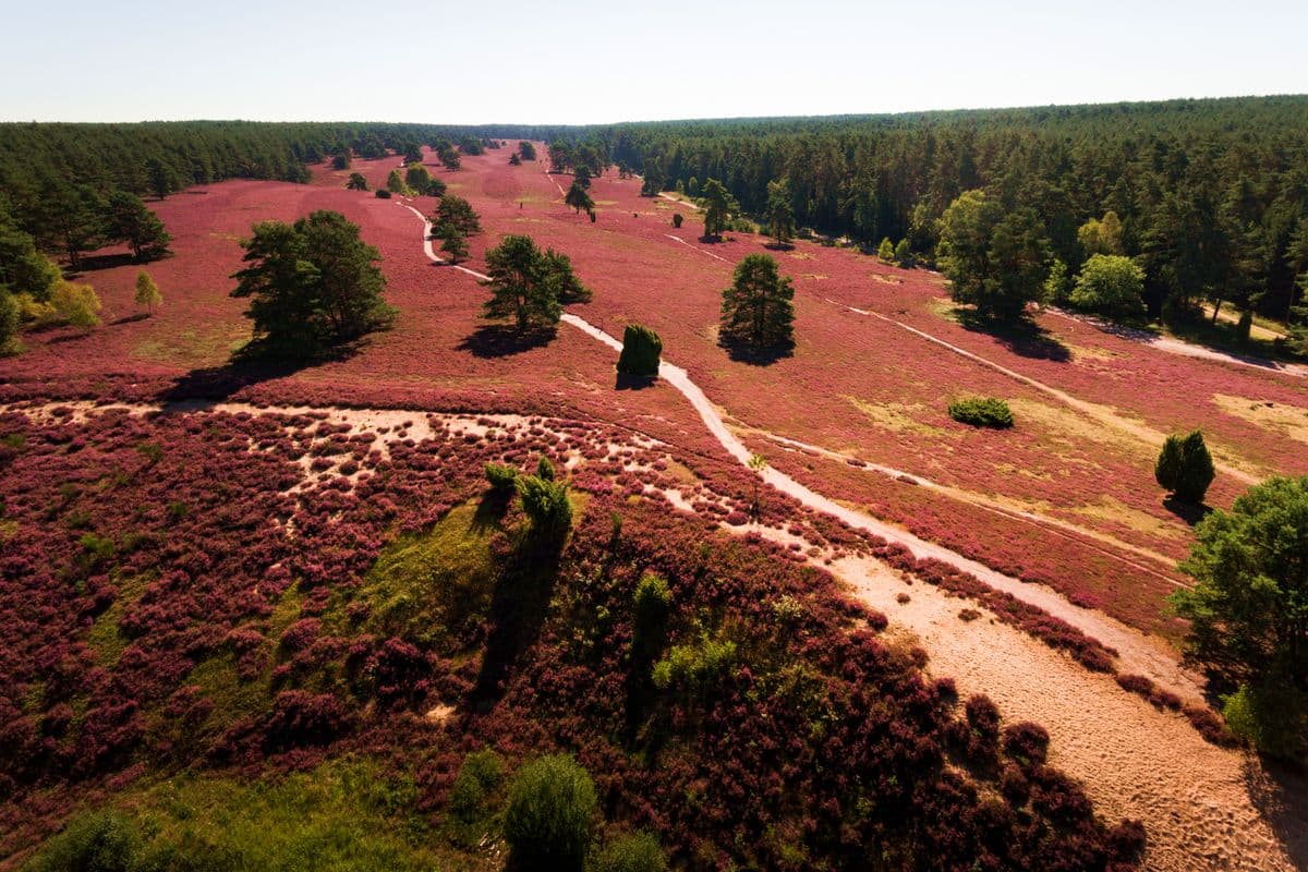 Luftaufnahme der Misselhorner Heide, Hermannsburg, Naturpark Südheide