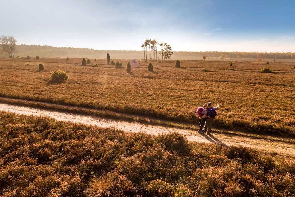 Tiefental, Misselhorner Heide, Hermannsburg