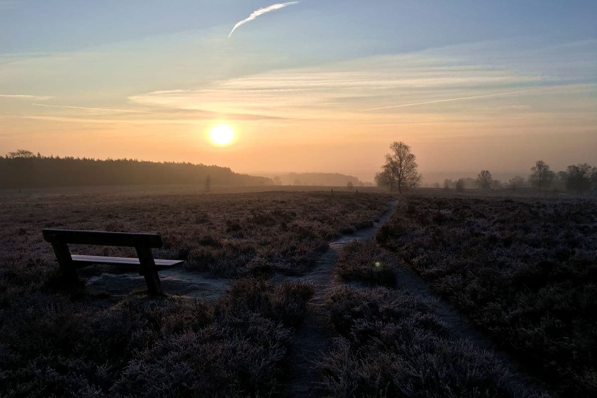 Wietzer Berg bei Müden (Örtze)
