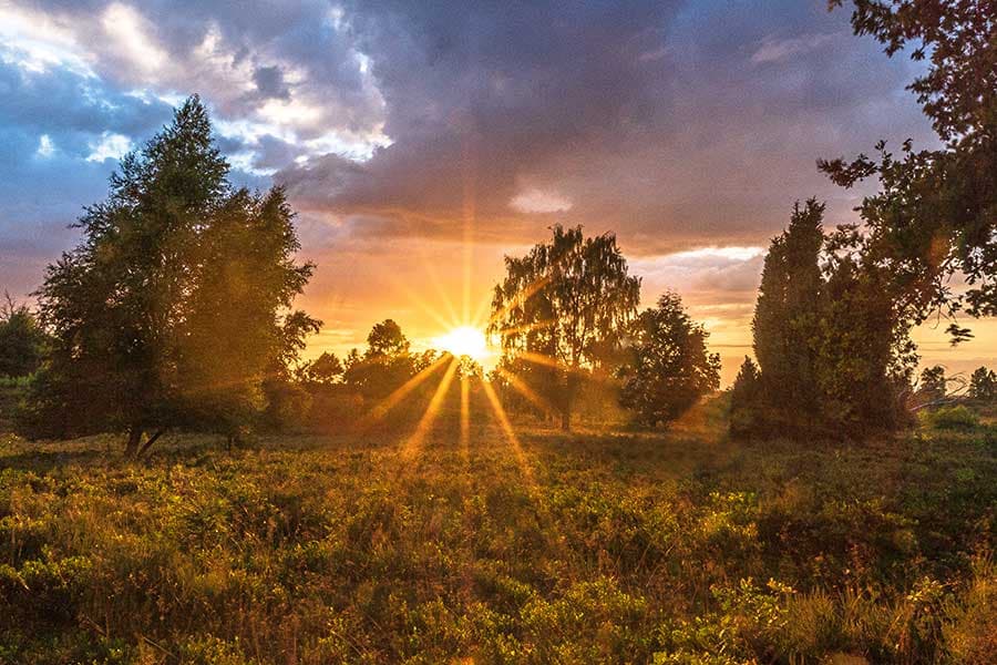 Weseler Heide Undeloh Sonnenuntergang