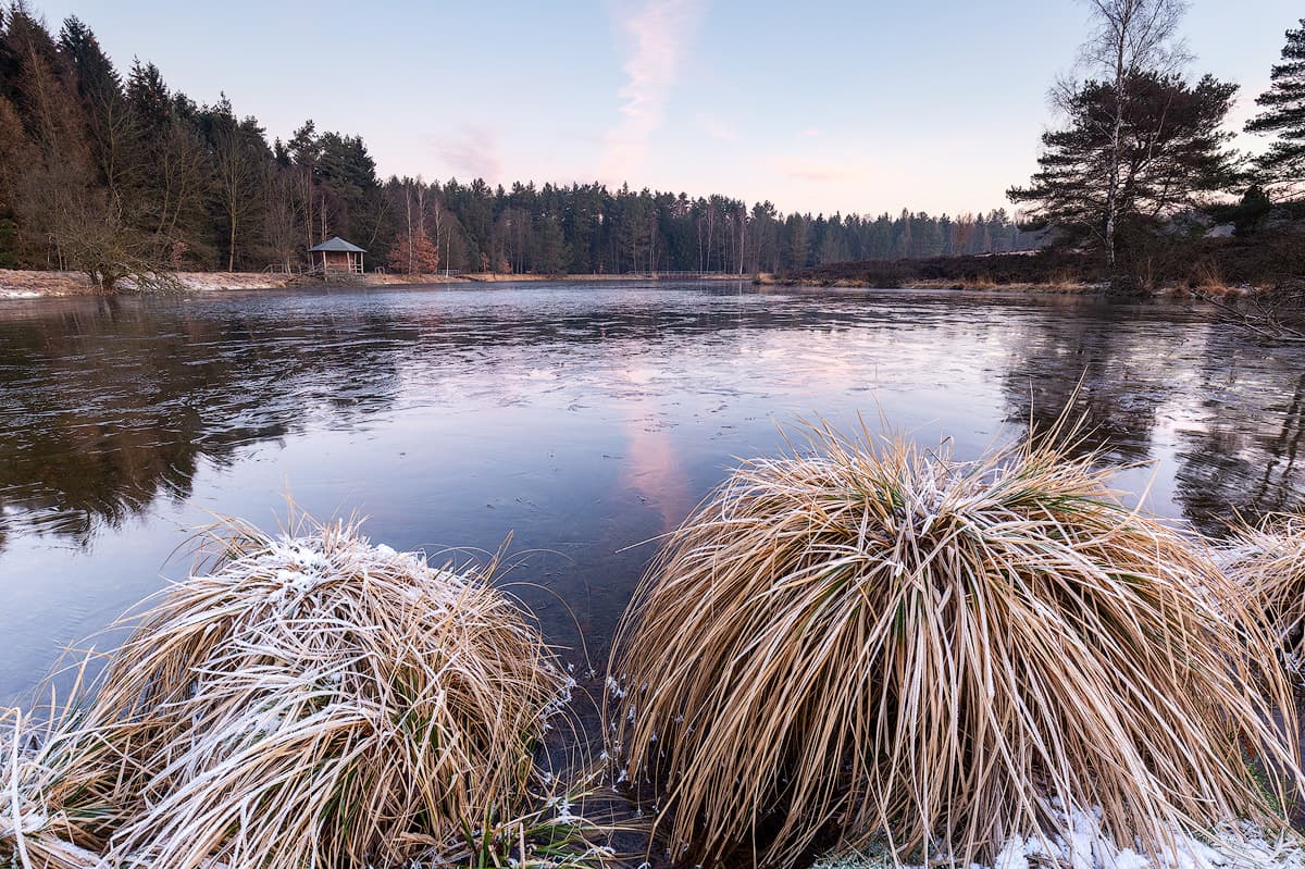 kalter Winter am Angelbecksteich in der lüneburger heide