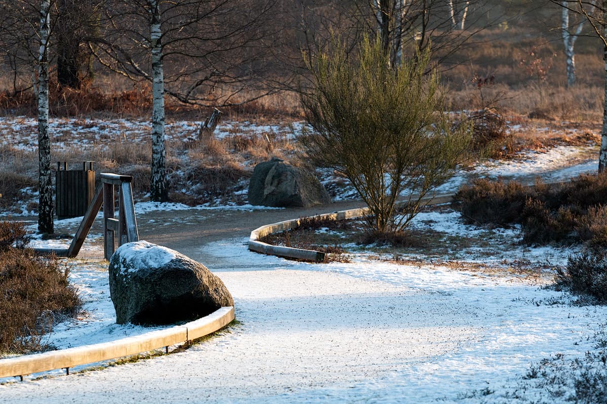 Winter am Angelbecksteich