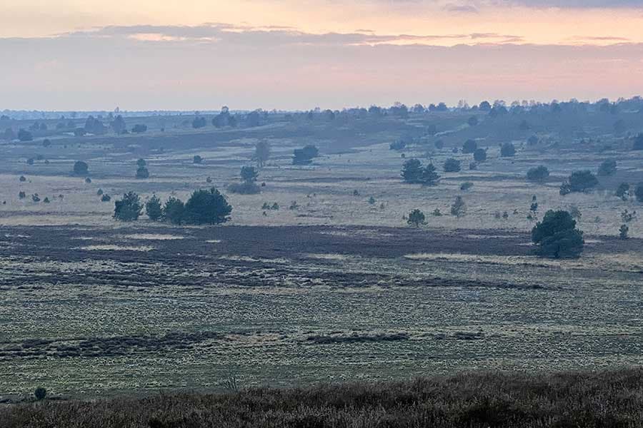 Blick in die Weite vom Surhorn, Aussichtsplattform in der Lüneburger Heide