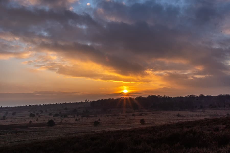 Winter Sonnenuntergang Surhorn Lüneburger Heide Bispingen