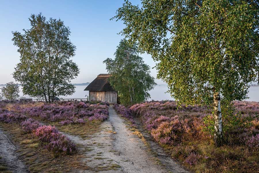 Sehenswürdigkeit Surhorn Lüneburger Heide