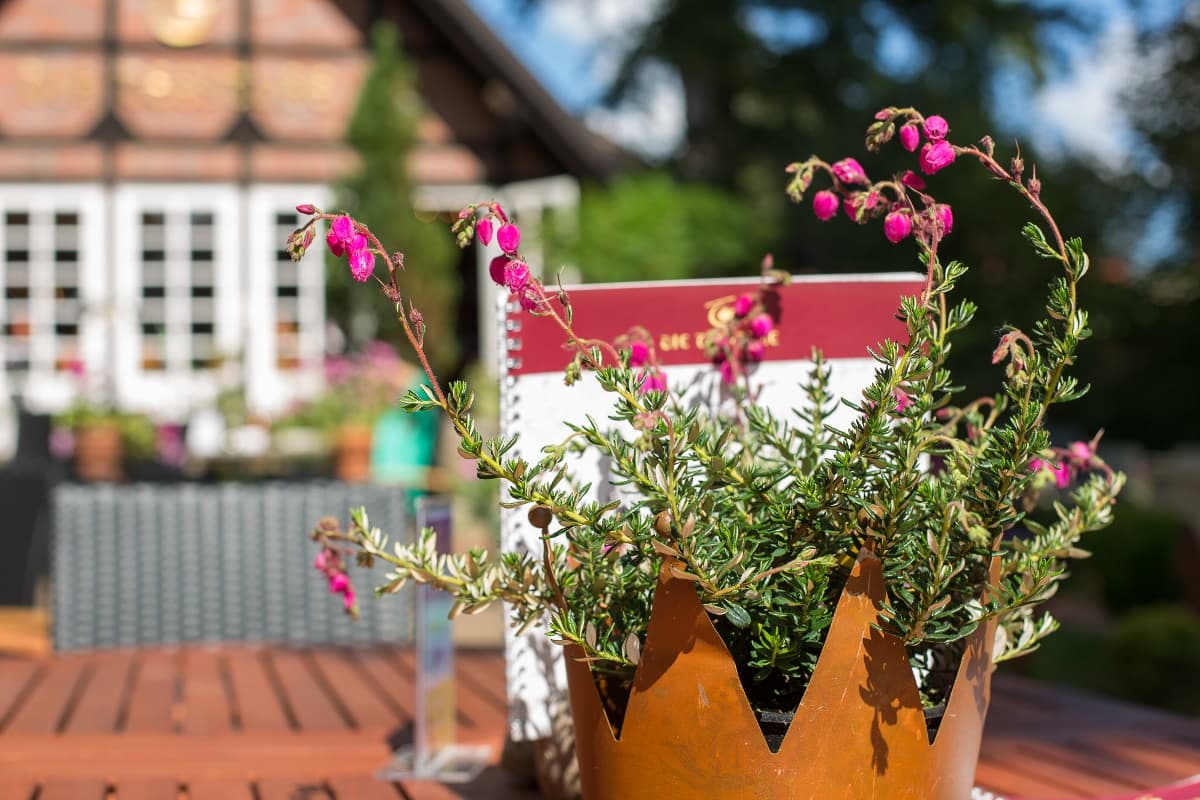 Teestube Undeloh pause