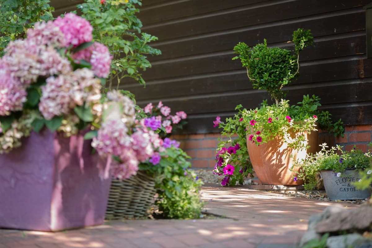 Teestube Undeloh blumen