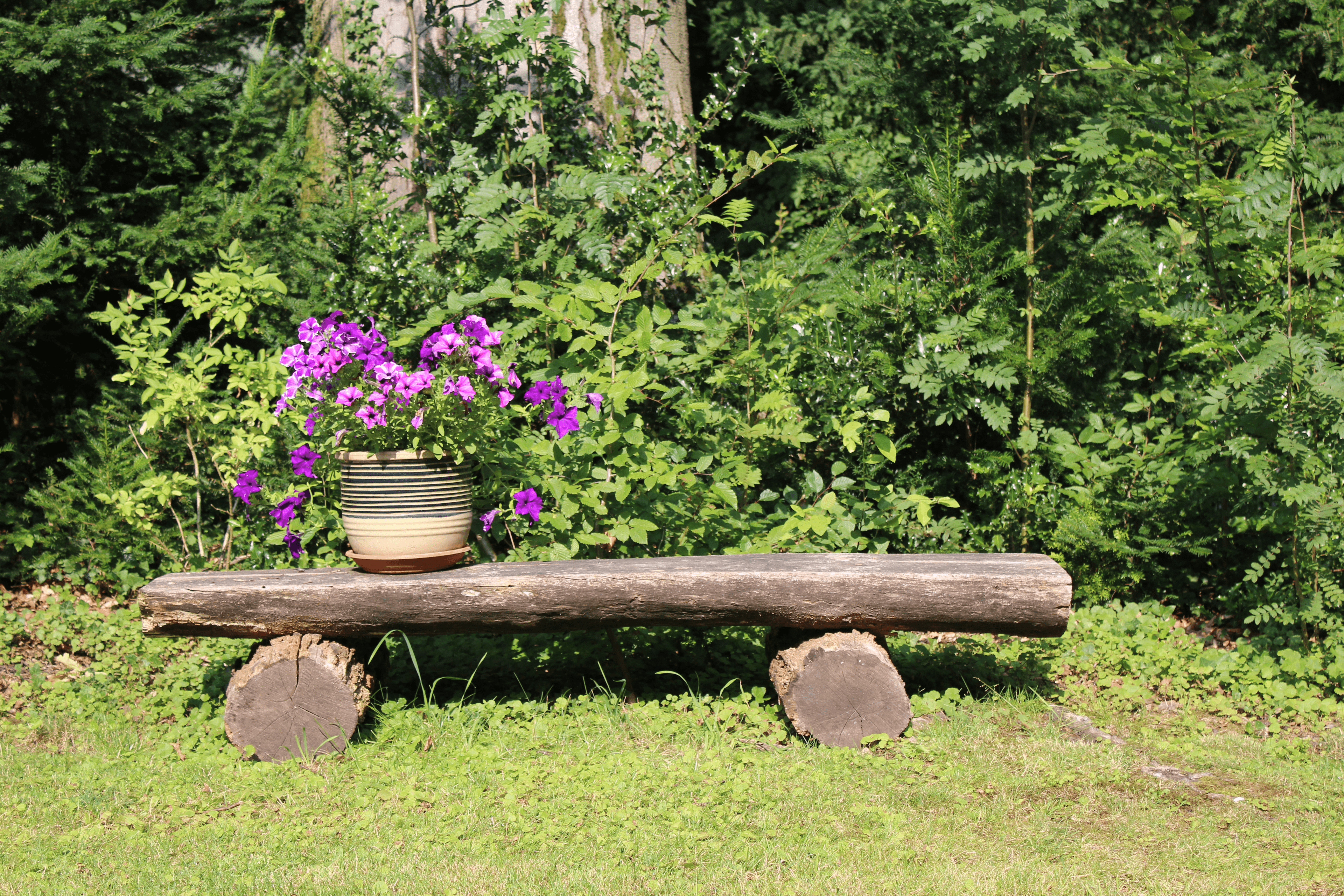Ruhebank des Forstgut Stübeckshorn