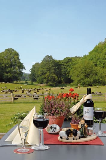 Gasthaus Zum Heidemuseum