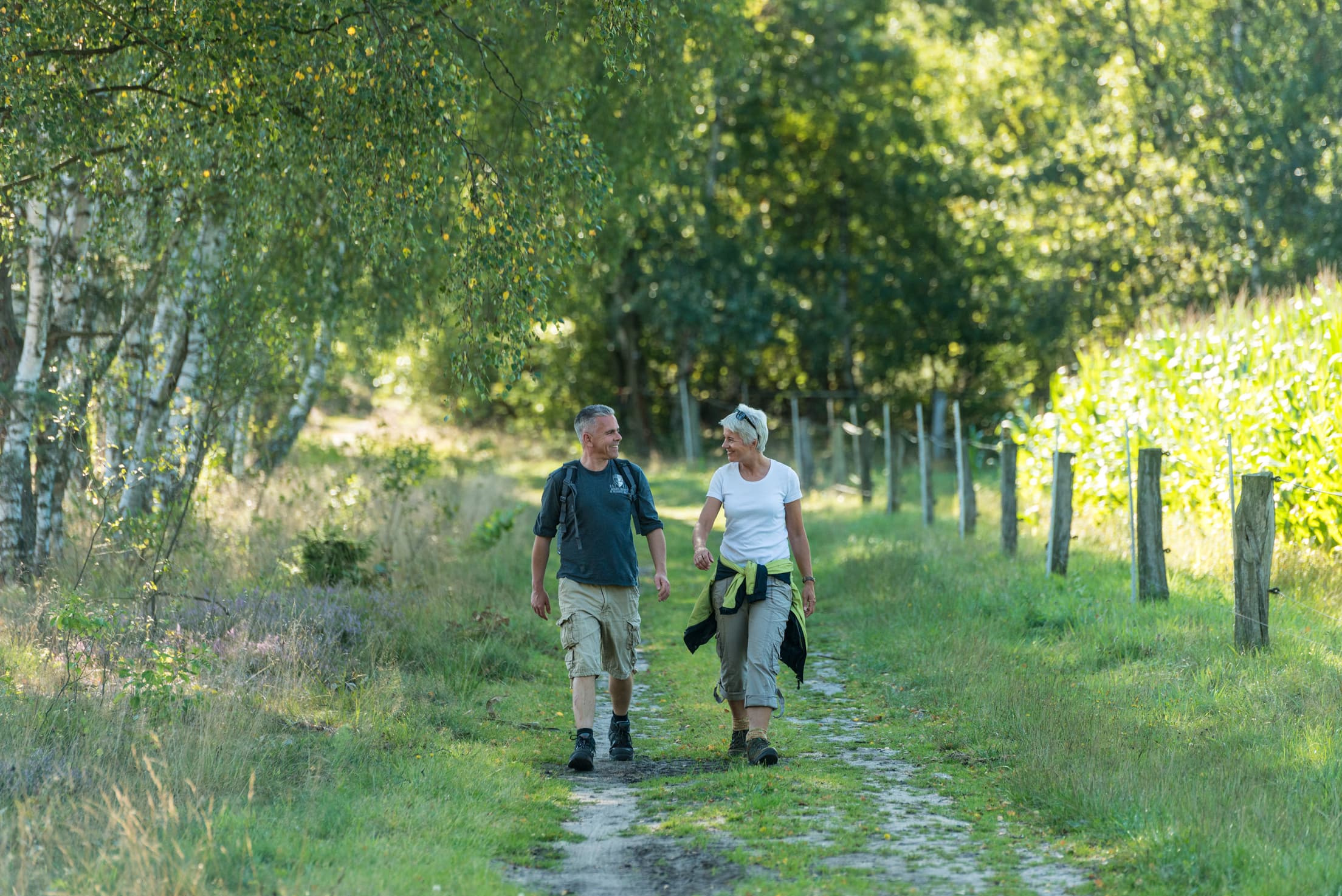 Wandern auf dem Heidschnuckenweg