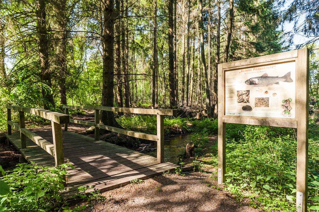 Fluß-Wald Erlebnispfad auf dem Heidschnuckenweg Müden (Örtze)