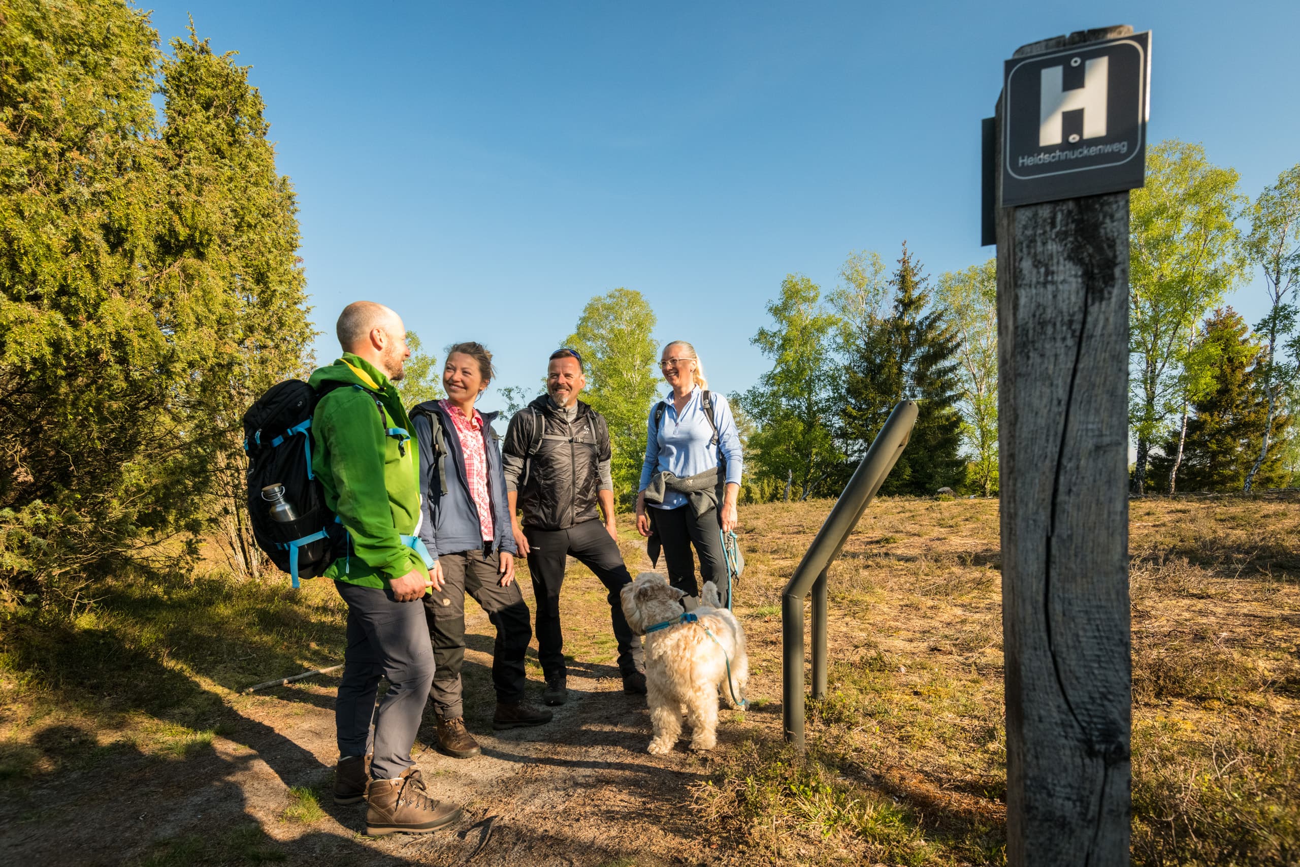Oberoher Heide bei Müden (Örtze) Heidschnuckenweg Wandern