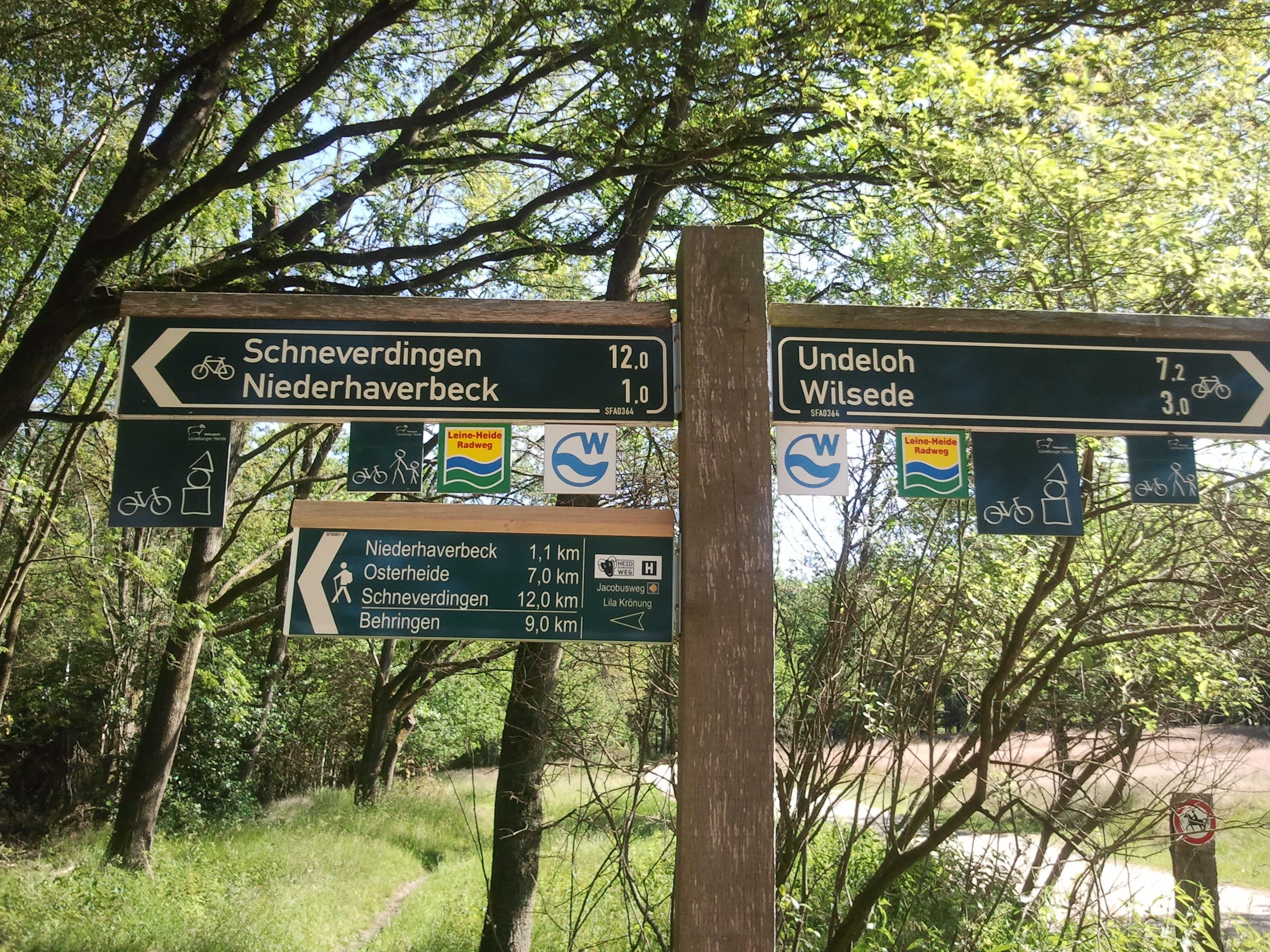 Frühlingswandern von Niederhaverbeck nach Wilsede