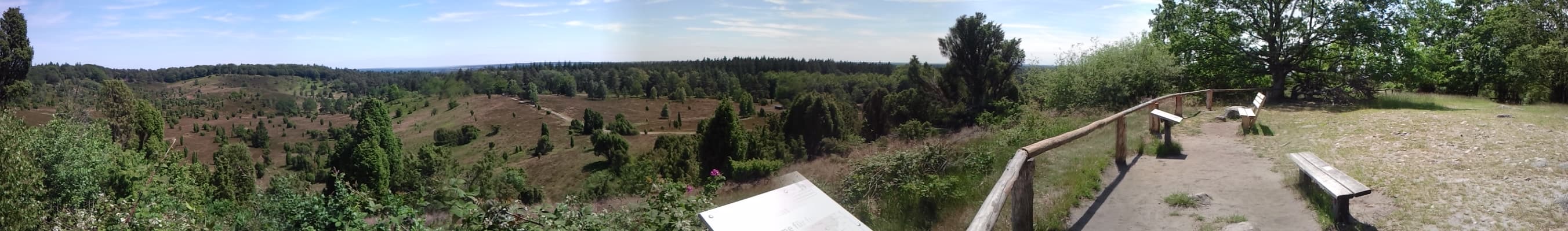 Frühlingswandern von Niederhaverbeck nach Wilsede Totengrund