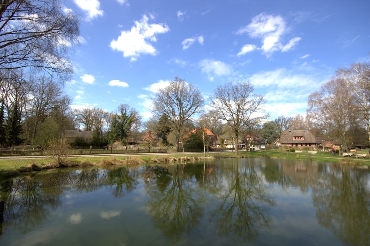 Dorfteich in Undeloh