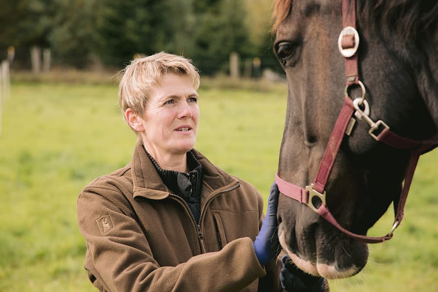 Das Kutschpferd Fred