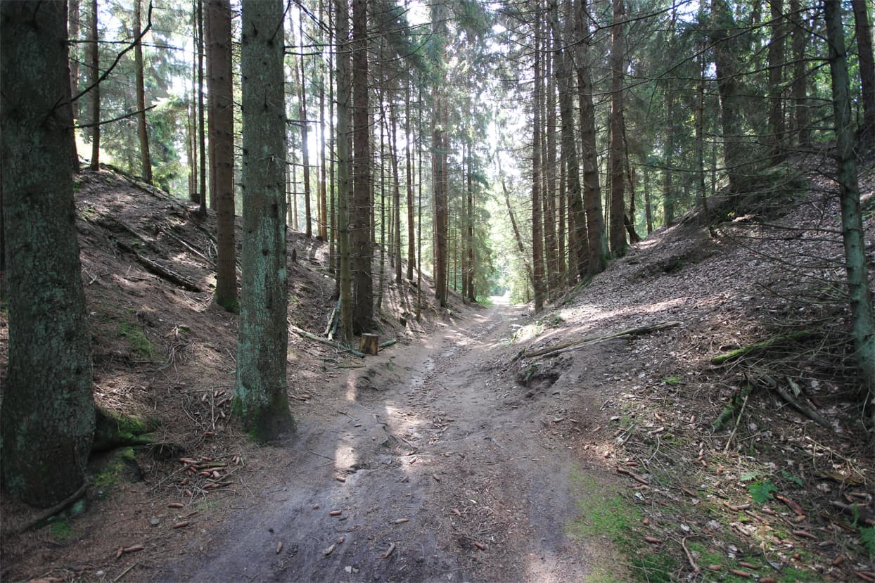 Heidschnuckenweg zur Höllenschlucht Nordheide