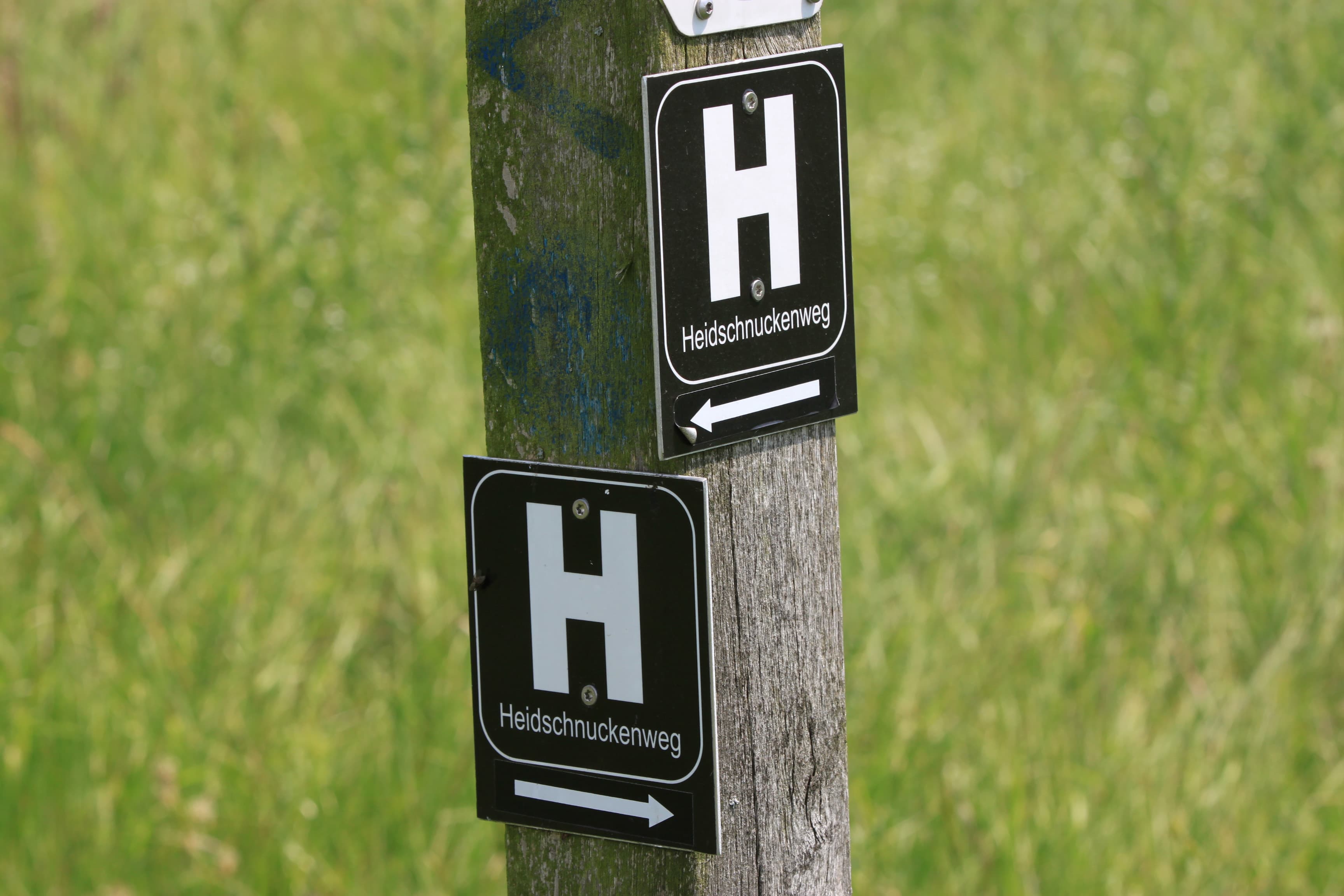 Markierung Heidschnuckenweg Beschilderung Wanderweg