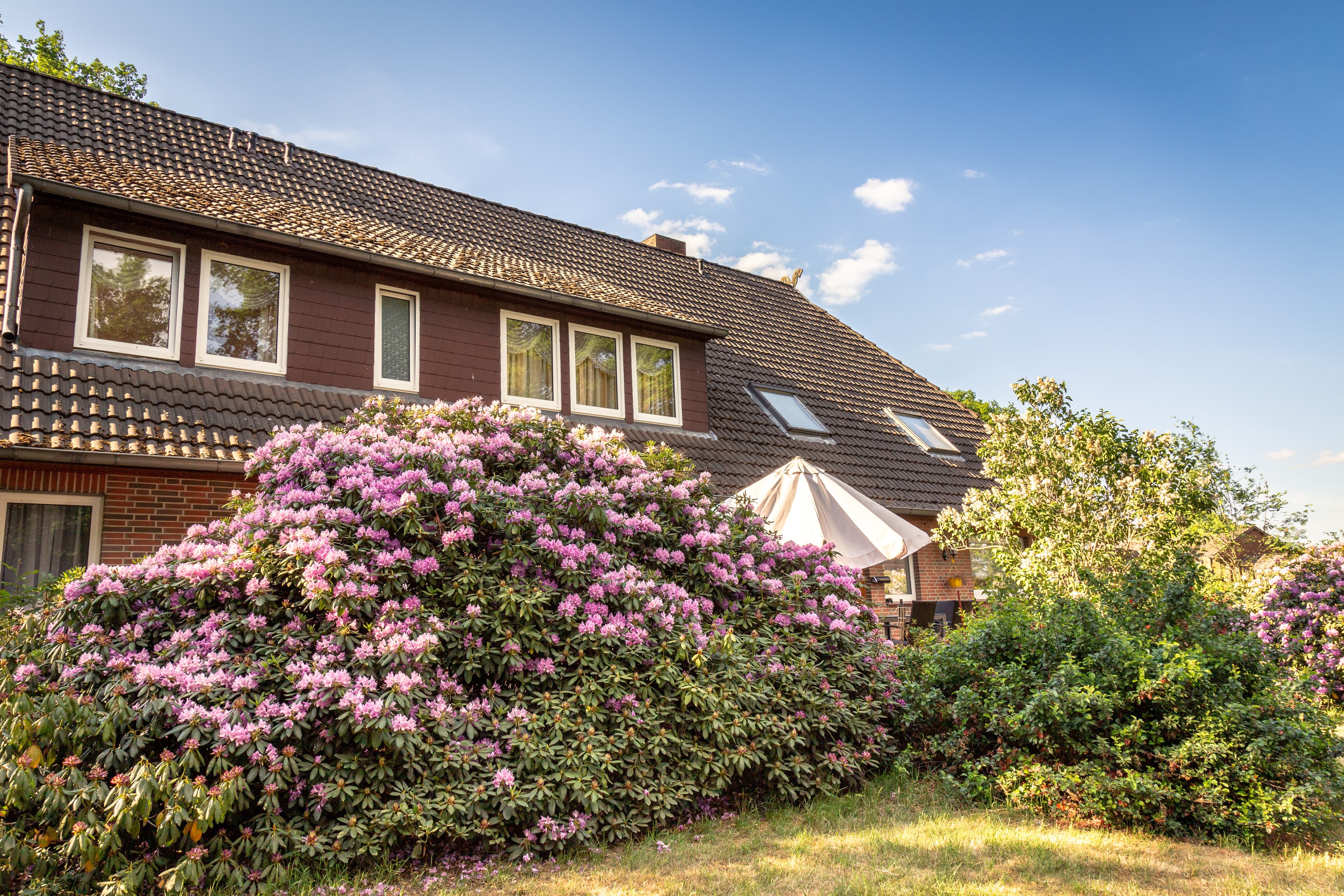 Rhododendronhof Bockelmann in Bispingen