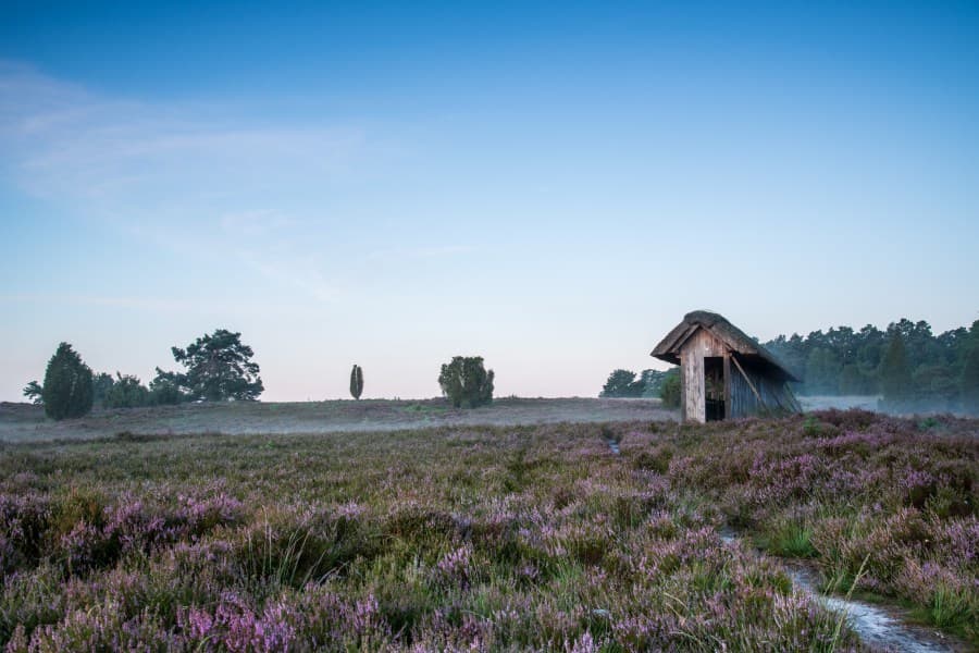 Bienenzaun auf dem Wanderweg Heideschleife RadenbachtalBee fence on the Heideschleife Radenbachtal hiking trailBi-hegn på vandrestien Heideschleife RadenbachtalBijenhek op de wandelroute Heideschleife Radenbachtal