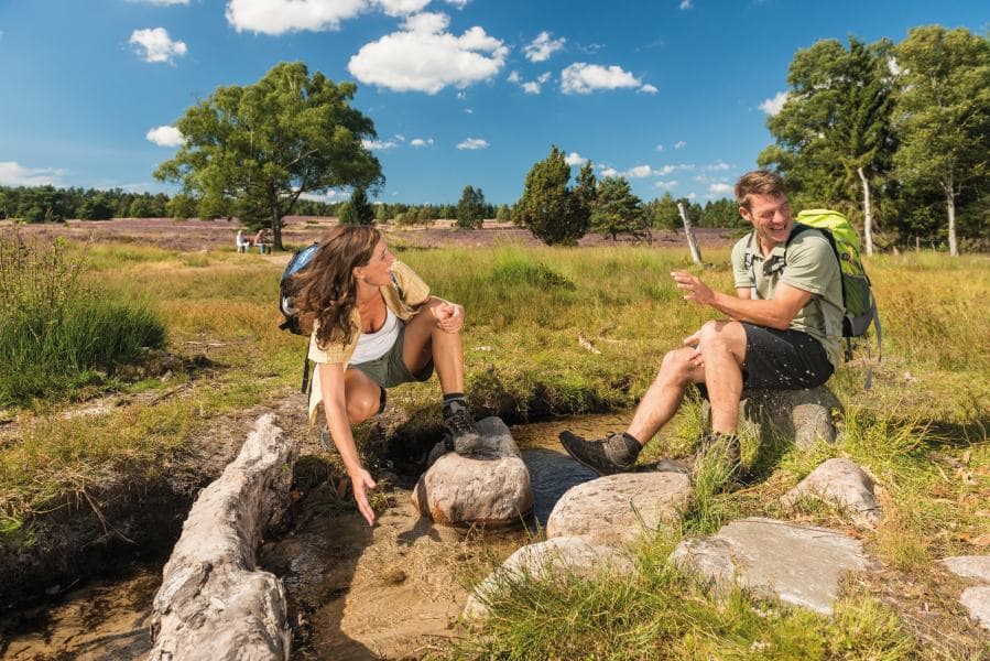 Der natur so nah am bachlauf im büsenbachtal bei handelohnature so close to the stream in the büsenbach valley near handelohNaturen så tæt på åen i Büsenbach-dalen nær HandelohNatuur zo dicht bij de beek in het büsenbachtal bij handeloh