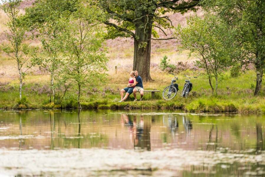 Pastorenteiche in der Weseler Heide Undeloh Heideschleife RundwanderwegPastor's ponds in the Weseler Heide Undeloh Heideschleife circular hiking trailPastorens damme i den cirkulære vandresti Weseler Heide Undeloh HeideschleifePastoorsvijvers in de Weseler Heide Undeloh Heideschleife rondwandelroute