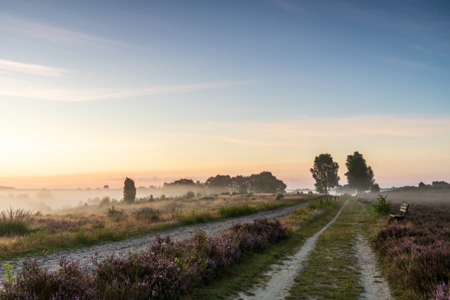 Wandern durchs Radenbachtal im Morgennebel Heideschleife RundwanderwegHiking through the Radenbach valley in the morning mist Heideschleife circular hiking trailVandring gennem Radenbach-dalen i morgentågen Heideschleife cirkulær vandrestiWandelen door de Radenbach vallei in de ochtendmist Heideschleife rondwandelroute