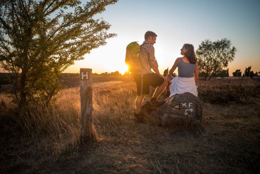 Sonnenuntergang am Wilseder Berg an der HeideschleifeSunset on the Wilseder Berg at the HeideschleifeSolnedgang på Wilseder Berg ved HeideschleifeZonsondergang op de Wilseder Berg bij de Heideschleife